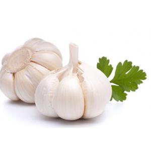 Garlic-4 for £1